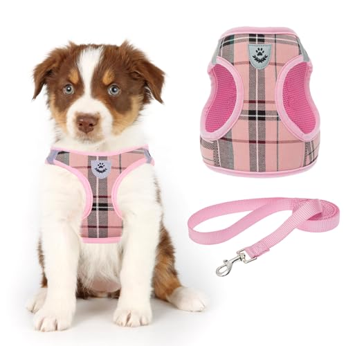 Soft Mesh Plaid Puppy Harness - Small Dog Harness and Leash Set, Adjustable & Comfortable Padded Reflective Vest for Puppies and Small Breeds Dogs Walking von KOOLTAIL