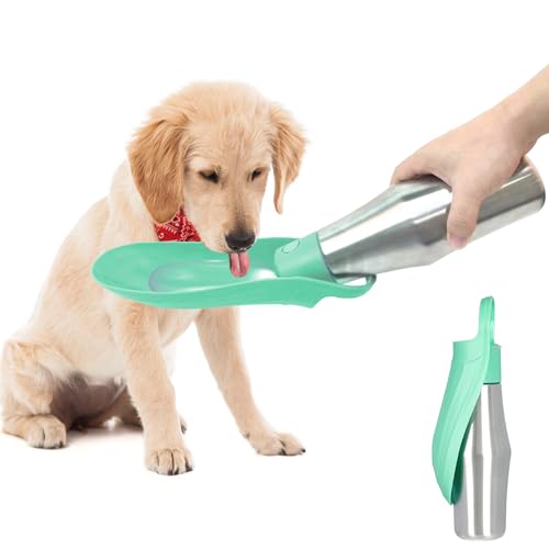 Wasserflasche für Hunde, ZoneYan 750 ml Edelstahl Hundetrinkflasche für Unterwegs, Tragbare Trinkflasche für Haustier, Auslaufsichere Hunde Wasserspender für Reisen, Parks, Camping, Wandern(Hellgrün) von ZoneYan