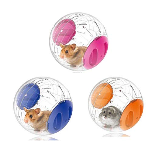 Zonfer 1pc Hamster Ball, Rennen Hamster-Rad-Kleintier Netter Plastikgymnastikball Goldener Silk Shih Tzu Bär Jogging-Rad-Spielzeug (zufällige Farbe) von Zonfer