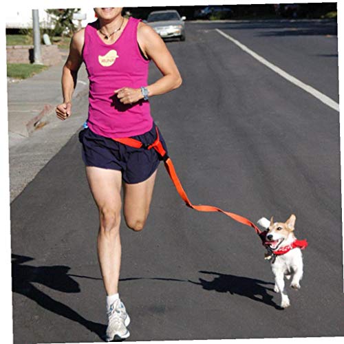 Zonfer 1pc Taille Haustier-hundeleine Hands Free Running Dog Leithund Laufband Für Freihändiges Laufen Jogging Oder Walking (zufällige Farbe) von Zonfer