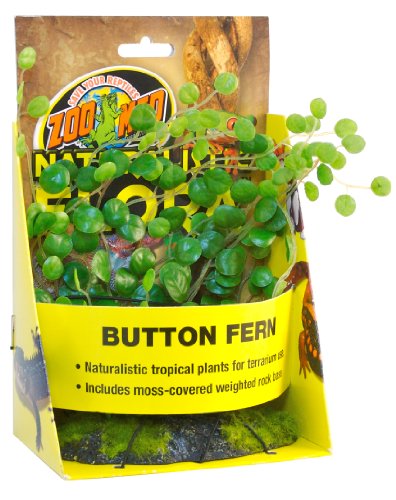 Zoo Med BU-49E Button Fern Kunststoffpflanze zur Dekoration im Terrarium von Zoo Med