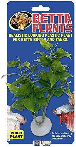 Zoo Med Laboratories AZMBP20 Betta Plant Philo von Zoo Med