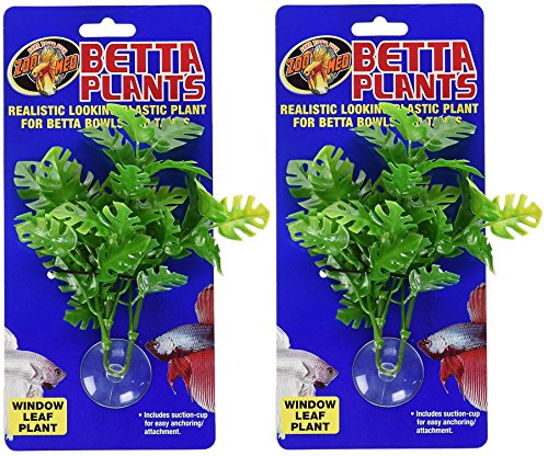 Zoo Med Laboratories Betta Fenster Blatt Pflanze, 2 Plants von Zoo Med