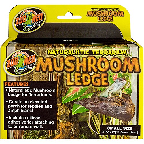 Zoo Med Naturalistic Terrarium Mushroom Ledge, Small Size, 4.5 Inches x 7 Inches von Zoo Med