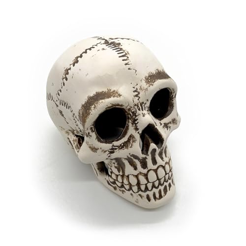 ZooPaul Keramik Deko Dekoration Aquarium Terrarium Totenkopf Kopf Skull Schädel von ZooPaul