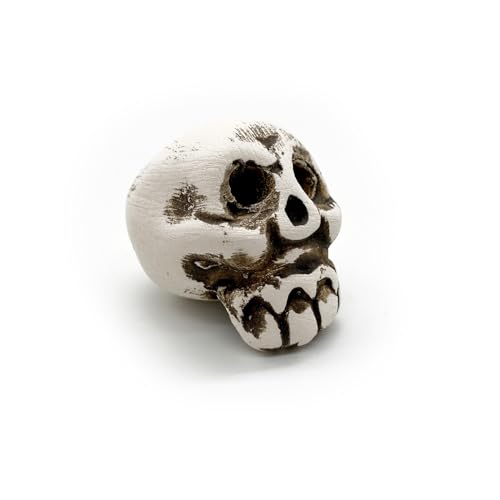 ZooPaul Keramik Deko Dekoration Aquarium Terrarium Totenkopf Schädel Skull klein Optimal für Nano Becken von ZooPaul