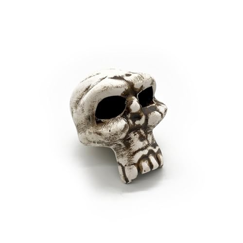 ZooPaul Keramik Deko Dekoration Aquarium Terrarium Totenkopf Schädel Skull klein von ZooPaul