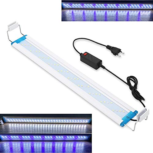 ZooPaul LED Aluminium Aufsatzleuchte 100cm weiß blau Aquarium Terrarium Lampe Leuchte von ZooPaul