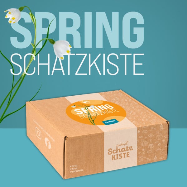 ZooRoyal Schatzkiste Hund Spring-Edition von ZooRoyal Schatzkiste