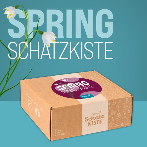 ZooRoyal Schatzkiste Katze Spring-Edition von ZooRoyal Schatzkiste