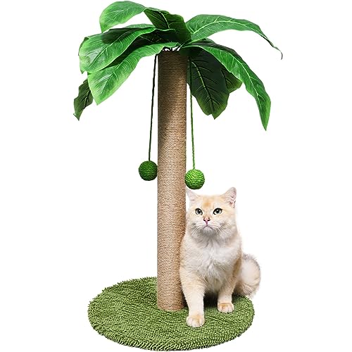 ZooZoo Katzenkratzbaum, Katzenkratzbaum Kokospalme für Indoor-Kätzchen mit natürlichem Sisal-Kratzstab, hängenden Sisalseilen und Bällen, niedlicher 68,6 cm hoher Katzenkratzer für Katzen und Kätzchen von ZooZoo