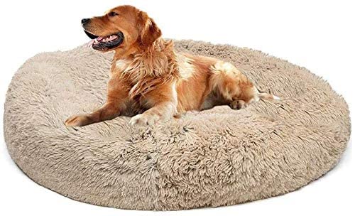 Deluxe Hundebett Rund Haustierbett für Hunde und Katzen, Weicher Plüsch Hundekorb mit Reißverschluss, Abnehmbar, Waschbar für Mittelgroße, Extra Große Hunde (XXXL-120cm, Begei) von Zoomlie