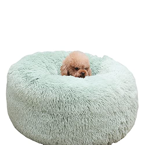 Rundes Plüsch-Haustierbett Katzennest Donut Schlafbett Warm Hundebett Haustiermatte Hundecouch Bett selbstwärmendes Katzenbett rutschfest Haustierbedarf (110 cm, grün) von Zoomlie