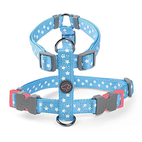 Zoon Walkabout Hundegeschirr, Größe S, 36-54 cm, Sternenblau von Zoon