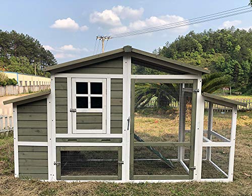 Zoopplier Winterfest Hühnerstall-wetterfest Hühnerhaus- XXL große Wachtelstall Emshaus aus massivem Holz-geeignet für 4-6 Hühner-auch als Entenstall Hasenstall von Zoopplier