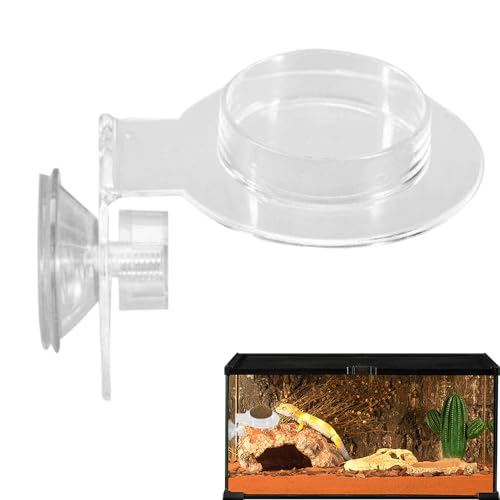Zqkimzi Reptile Food Bowl, Reptilien Acryl Wasserbecken Futter Napf, Small Animal Water Dish Spider Feeder Zqkimzi Reptile Food Bowl, Reptilien Acryl Wasserbecken Futter Napf, Small Animal Water Dish Spider Feeder von Zqkimzi
