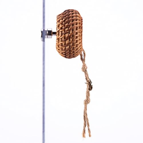 Zqkimzi Spinnenhaus | Rattan Vogelspinnen Versteck,Dekorative Magnet Verstecke Für Schnecken Einsiedlerkrebse Vogelspinnen Reptilien Zqkimzi Spinnenhaus | Rattan Vogelspinnen Versteck,Dekorative Magnet Verstecke Für Schnecken Einsiedlerkrebse Vogelspinnen Reptilien von Zqkimzi