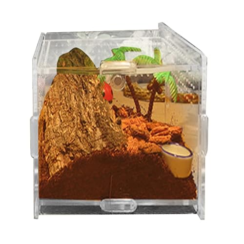 Zuasdvnk Reptilienkäfig,Terrarium für Reptilien - Klarer Eidechsentank aus Acryl | Terrarium mit Öffnung von Oben für Wirbellose und Geckos, Eidechsen und Schlangen mit Belüftung an der Oberseite von Zuasdvnk