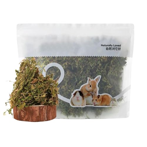 Zuasdvnk Reptilienmoos, Terrarium Moos, 5L Geruchskontrolle Natural Moos für Hamsterbettwäsche, Feuchtigkeitsabsorbierende für Topfpflanzen, Terrarien, Reptilienpanzer und lebende Kreaturenprojekte von Zuasdvnk