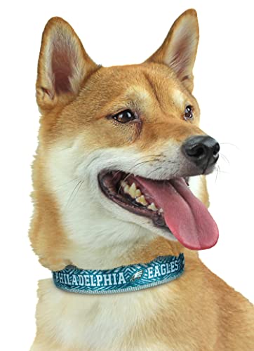 Zubaz NFL Team Verstellbares Haustierhalsband für Hunde & Katzen, Philadelphia Eagles, groß von Zubaz