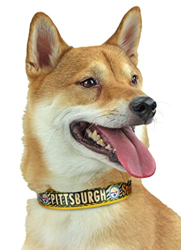 Zubaz NFL Team verstellbares Haustierhalsband für Hunde und Katzen, Pittsburgh Steelers, groß von Zubaz