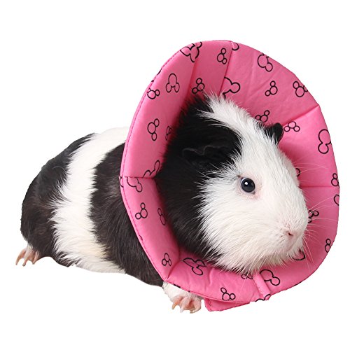 ZuckerTi Halskrause Halskragen Schutzkragen Wundheilung Hundehalsband Cone Schutz Smart Halsband Sicherheit für Kleintiere Eichhörnchen Meerschweinchen Ratte Mäuse Hamster Hase Kanichen kleine von ZuckerTi