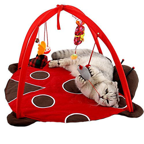 ZuckerTi Neues Katzenbett Katzenzelt Katzenkissen Tierkorb Tierbett Katzen Kitten Interaktives Katzenspielzeug Box mit individuelle Spielzeuge Katze Toys von ZuckerTi