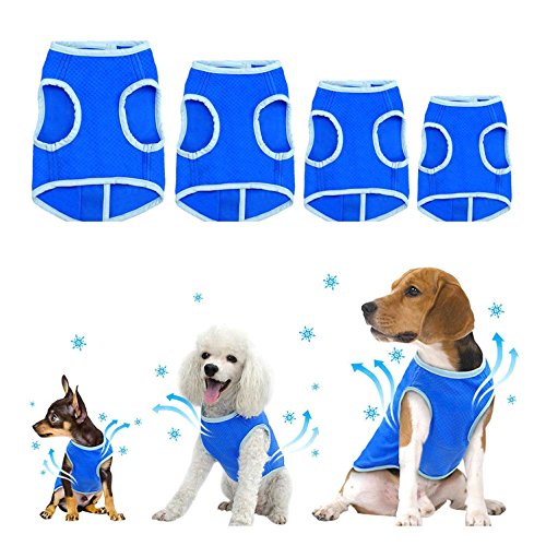 Kühlweste für kleine mittlere und große Hunde von Zunea, atmungsaktiv, Kühljacke für den Sommer, weich, Anti-Hitze, Kühlmantel für Aktivitäten draußen, Wandern, Training blau XS von Zunea