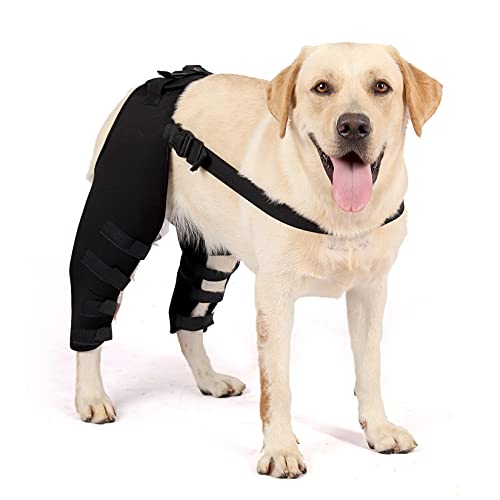 Zunea 1Paar Hunde-Beinbandagen für Hinterbein ACL Rücken Beine Wundschutz Gelenk-Bandage Hunde Kompressions Klammer Zusätzliche Unterstützung bei Verletzungen Verstauchungen, Heilung von Arthritis L von Zunea