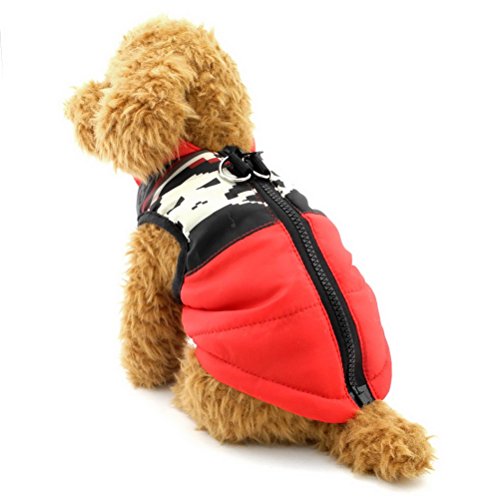 ZUNEA Gepolsterte Warme Kleine Hund Katze Weste Mantel Jacke Welpe Weste Harness Pet Winter Kleidung Doggie Jumper Chihuahua Overalls Bekleidung Rot Schädel L von Zunea