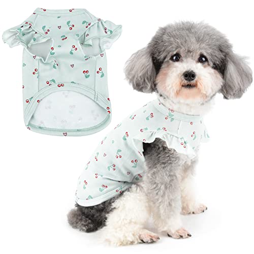 Zunea Hunde Shirt für Kleine Hunde Sommer T-Shirts Weiche Baumwolle Atmungsaktive Welpenweste Kleidung Niedlich Kirsche Gedruckt Kleidung Rüschen Kurzarm Shirt für Haustier Chihuahua Yorkie Blau M von Zunea