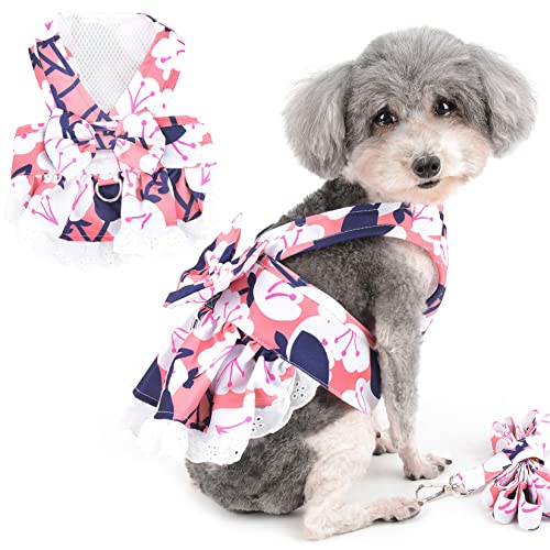 Zunea Hundegeschirr Kleid mit Leine für Kleines Hunde Mädchen Kein Ziehen Welpen Weste Geschirre Blumenmuster Prinzessinnenkleider mit Schleife Haustier Rock Chihuahua Yorkie Bekleidung Rosa M von Zunea