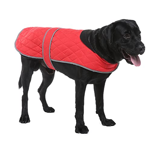 Zunea Hundejacke mit Geschirr Loch Warm Wintermantel Reflektierende Jacke Mantel Weiche Baumwolle Kaltes Wetter Haustier Mädchen Jungen Kleidung für Kleine Mittlere Große Hunde Rot XL von Zunea