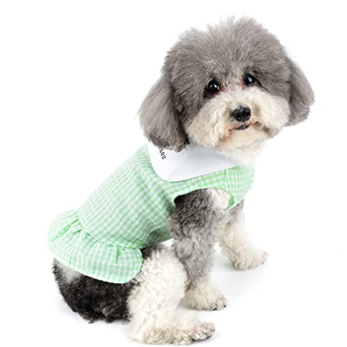 Zunea Hundekleider für Kleine Hunde Sommer Welpen Kleid Prinzessin Kleid Niedlich Plaid Kleidung Doggie Rock Haustier Chihuahua Katzen Geburtstag Party Kostüme Bekleidung für Hündinnen Katzen Grün XS von Zunea