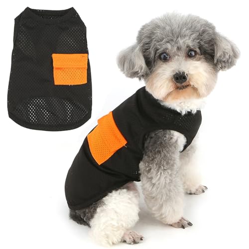 Zunea Hundeweste aus Netzstoff für extra kleine und kleine Hunde, weich, atmungsaktiv, kühl, Sommer-Welpenkleidung, T-Shirt, Pullover, ärmellos, für Chihuahua, Yorkie, Schwarz, Größe XL Zunea Hundeweste aus Netzstoff für extra kleine und kleine Hunde, weich, atmungsaktiv, kühl, Sommer-Welpenkleidung, T-Shirt, Pullover, ärmellos, für Chihuahua, Yorkie, Schwarz, Größe XL von Zunea