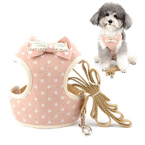 ZUNEA Hundegeschirr mit Leine Kleine Hunde Ausbruchsicher Welpe Katze Weste Geschirre Gehen Verstellbar Cute Polka Dot Kätzchen Geschirr mit Schleife Weich Mesh Gepolstert Brustgeschirre für Rosa S von Zunea