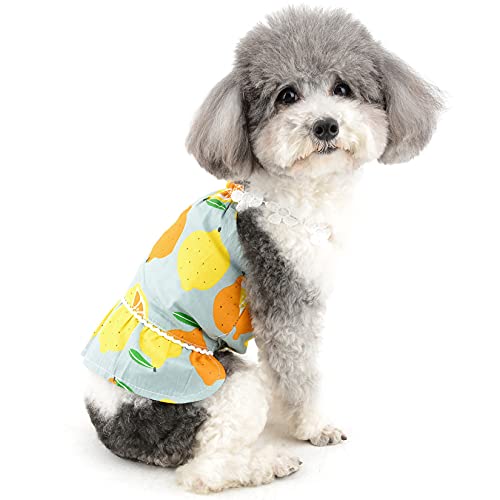 Zunea Süßes Hundekleid für Kleine Hunde Mädchen Sommer Zitronenprint Welpen Hunde Kleid Shirts Doggy Sundress Chihuahua Rock Haustierkleidung Hunde Katzen Kostüm Outfits Kleidung Blau M von Zunea