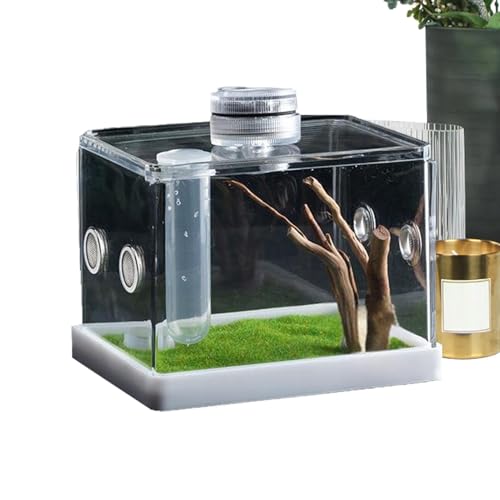 Acrylspinnenlebensraum - Langlebiges Und Betrachtungsgehäuse, Leichtes Und Tragbares Terrarium Für Sprungspinnen, Tarantulas Und Amphibien, Mehrzwecktank Luftströmen Für Exotische Haustiere von Zunishaone