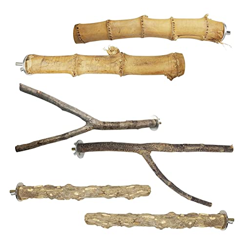 Vogelspielzeug aus Naturholz, Sitzstange für Papageien, Käfig-Training, Kauen für Sittiche, Haustiere, Vögel, Schleifschnabel, 6 Stück Vogelspielzeug aus Naturholz, Sitzstange für Papageien, Käfig-Training, Kauen für Sittiche, Haustiere, Vögel, Schleifschnabel, 6 Stück von ZwaitL