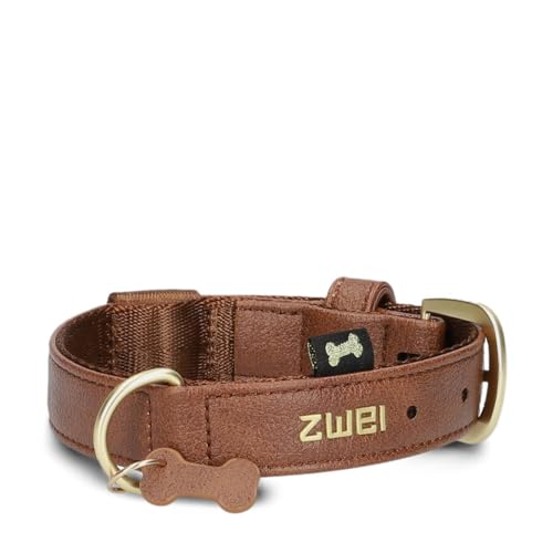 ZWEI Hundehalsband Leo LE10 aus hochwertigem Kunstleder, Elegantes Halsband verstellbar für kleine & mittelgroße Hunde mit Halsumfang von 28-38 cm, viele Farben von Zwei