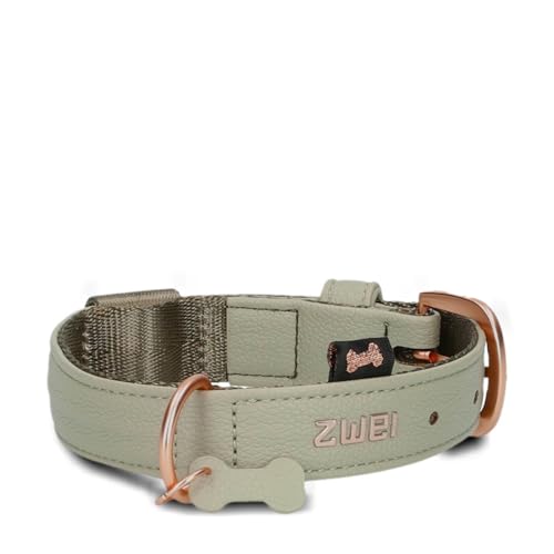 ZWEI Hundehalsband Leo LE10 aus hochwertigem Kunstleder, Elegantes Halsband verstellbar für kleine & mittelgroße Hunde mit Halsumfang von 28-38 cm, viele Farben von Zwei