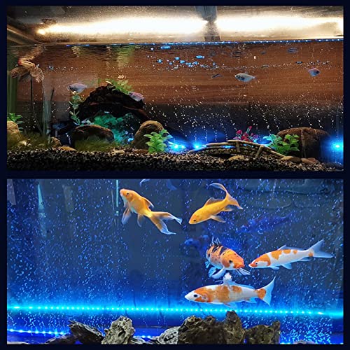 Zyyini LED-Aquariumlicht, Mehrzweck-Aquariumlicht, Blasen-Aquarium für Aquarium (DB-30) von Zyyini