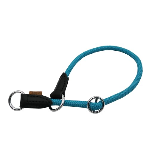 Aiminto Geflochtenes Halsband, Profi-Training-Hundehalsband, kein Ziehen, rundes Martingalhalsband, Schlupfhalsband mit verschiebbarem Stoppring, ideal für große Hunde (L (12 mm) – 50 cm lang, Blau von aiminto