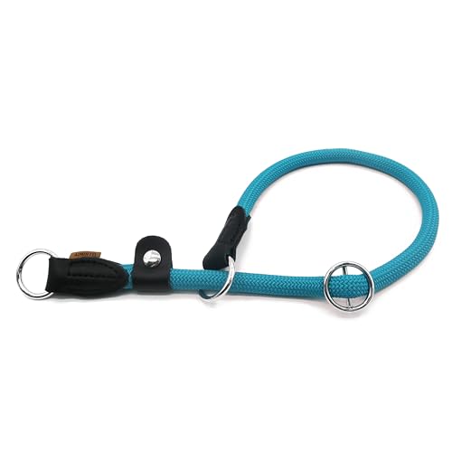 Aiminto Geflochtenes Seilhalsband, Trainings-Hundehalsband, rundes Martingalhalsband, Schlupfhalsband mit verstellbarem Stopper und verschiebbarem Stoppring, ideal für extra große Hunde (XL (1,27 cm) von aiminto