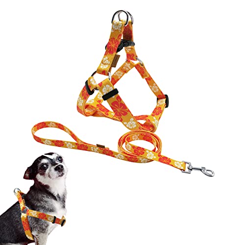 Aiminto Hundegeschirr und Leine, Set, niedliche Blumenmuster, weiches und verstellbares Geschirr, Step In, Anti-Choke — perfekt zum Spazierengehen (Hawaiian Orange, XS (Brust 27,9–45,7 cm)) von aiminto