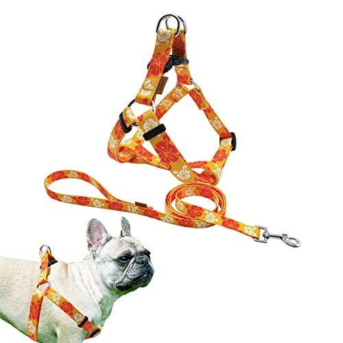 Aiminto Hundegeschirr und Leine, Set, niedliche Blumenmuster, weiches und verstellbares Geschirr, Step-in, Anti-Choke — perfekt zum Spazierengehen (Hawaii-Orange, M (Brustumfang 43,2–71,1 cm)) von aiminto