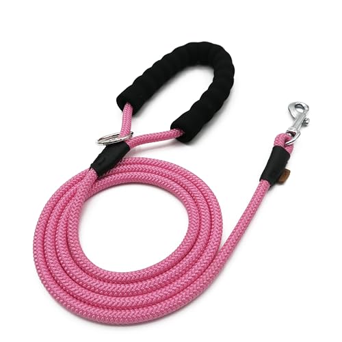 Aiminto Hundeleine, Geflochtenes Seil Traktion - Walking Trainingsleine für kleine Hunde (1/3 Zoll) - 6FT, Rosa) von aiminto