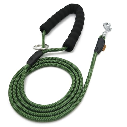 Aiminto Hundeleine, geflochtenes Seil Traktion - Walking Trainingsleine für kleine Hunde (1/3 Zoll) - 6FT Dunkelgrün von aiminto