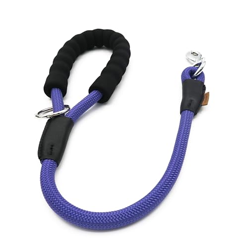 Aiminto Hundeleine, geflochtenes Seil Traktion - Walking Trainingsleine für mittelgroße Hunde (1/2 Zoll) - 2FT, Lila von aiminto