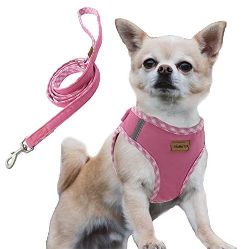 Aiminto Premium Denim Hundegeschirr und Leine Set, Step In, atmungsaktives Mesh, leicht, reflektierende Weste Geschirr - für Katzen und extra kleine Hunde (Rosa, XXS) von aiminto